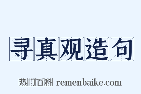 寻真观造句是什么意思的图片